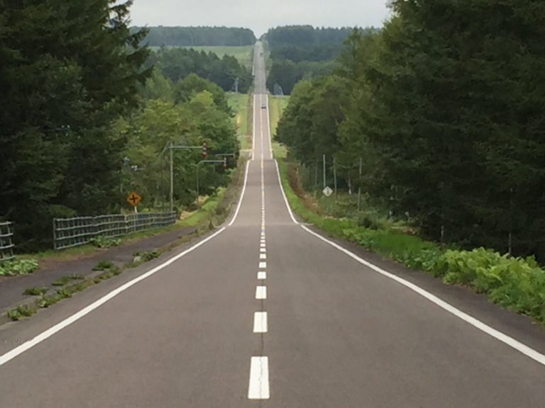 中標津-地平線まで続く道