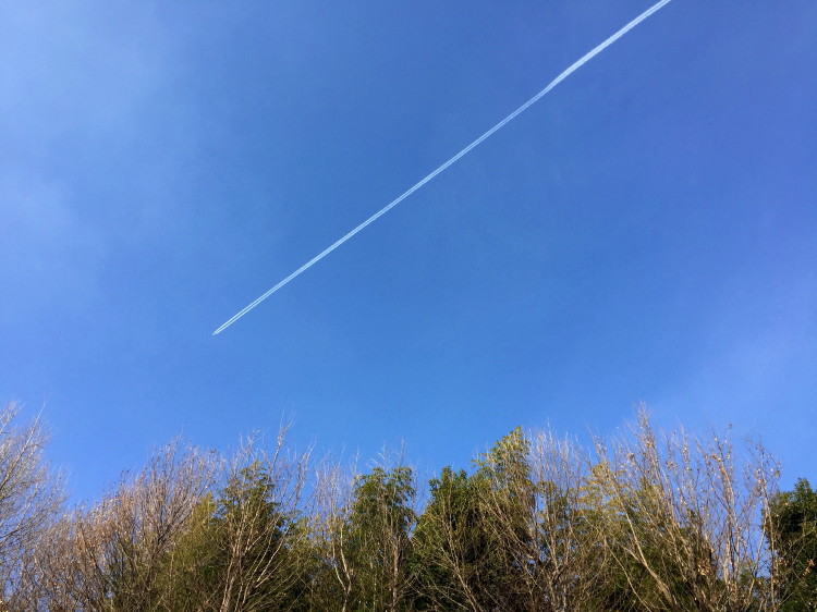 一直線の飛行機雲