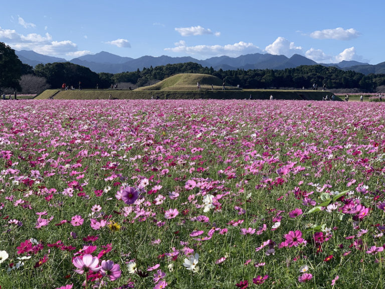 西都原古墳群の秋