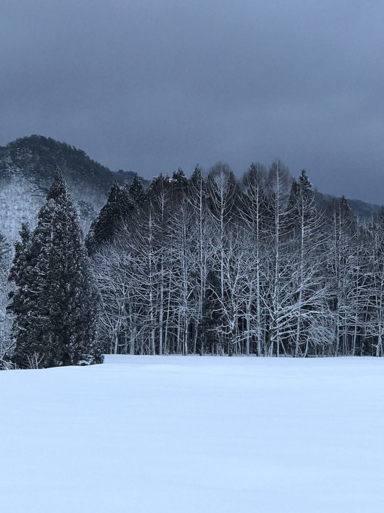 真冬の安比高原